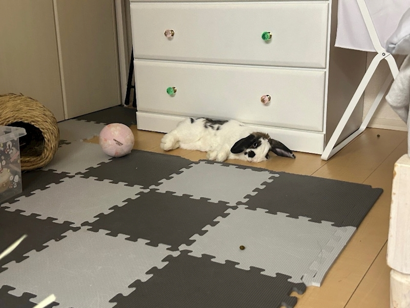 湊崎 さな