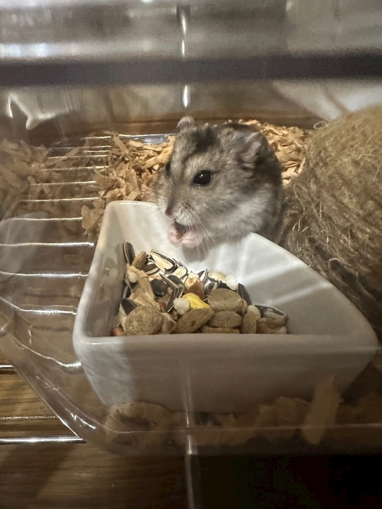 一ノ瀬 はづき