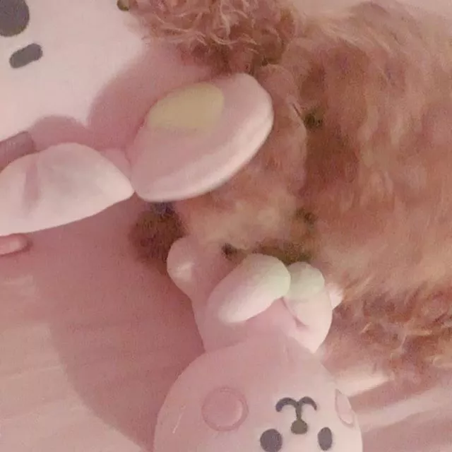 愛音 なぎさ