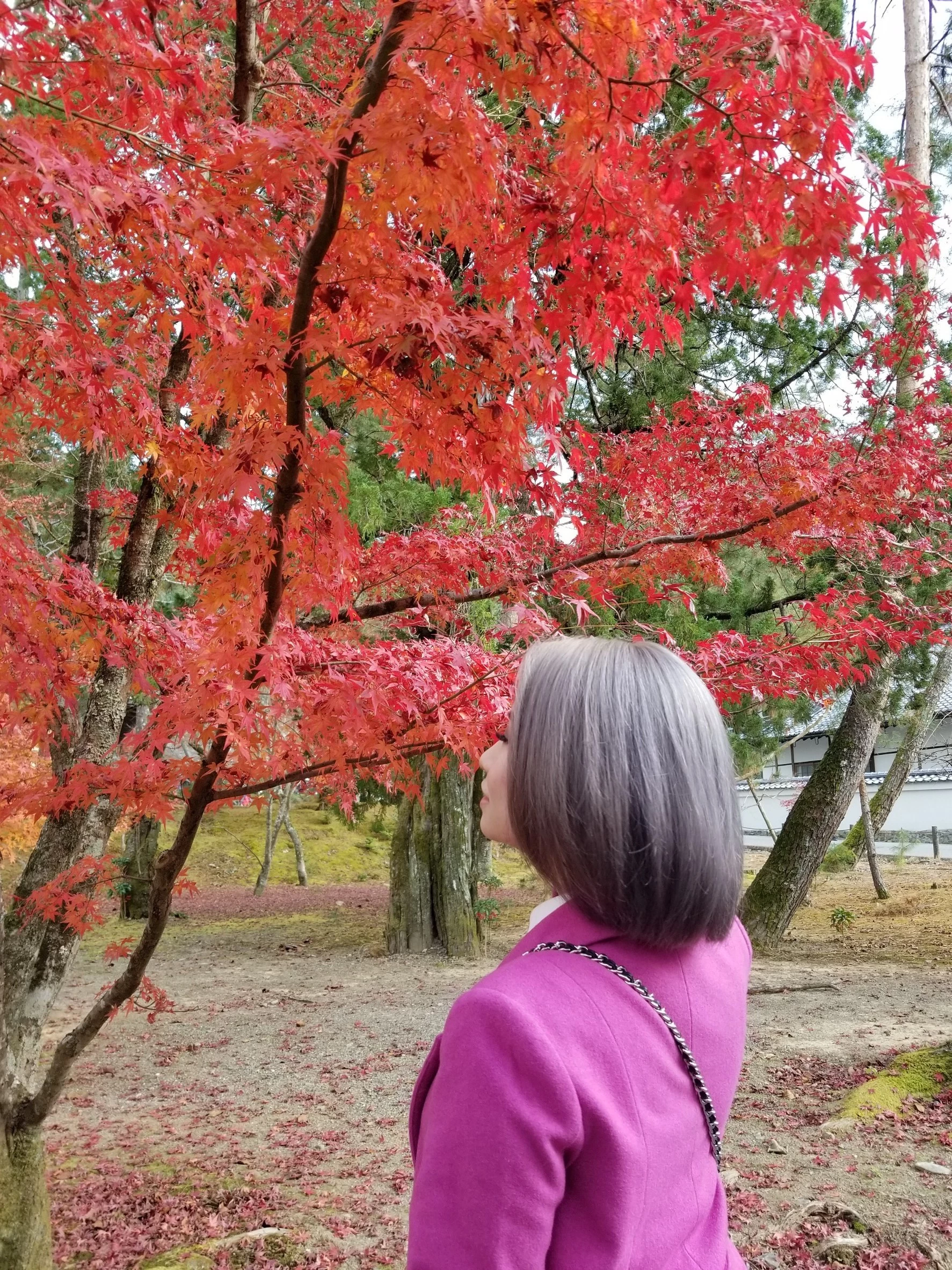 荒木 ナツミ