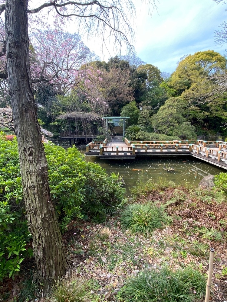 玲美