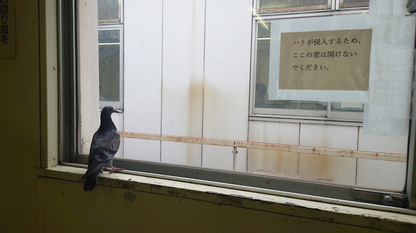 ふゆの