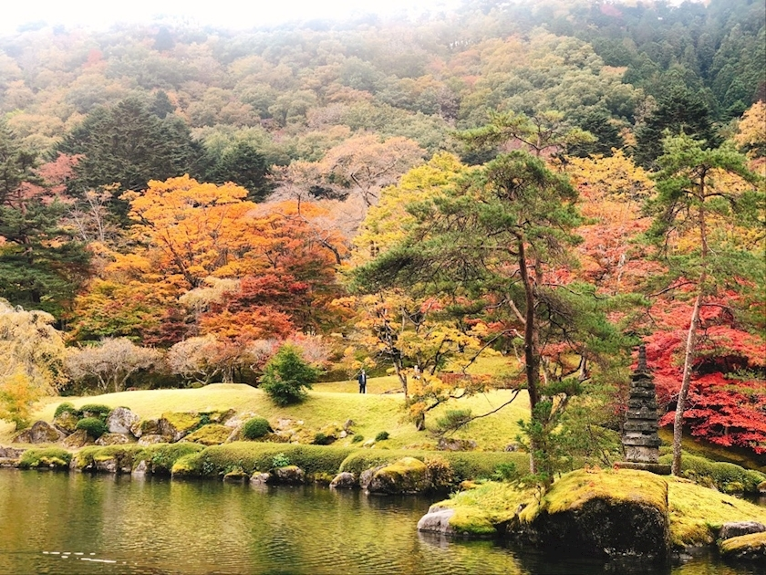 あおい