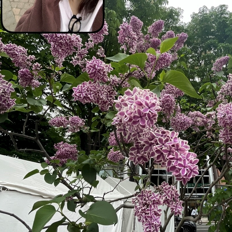 乙川 ゆあ