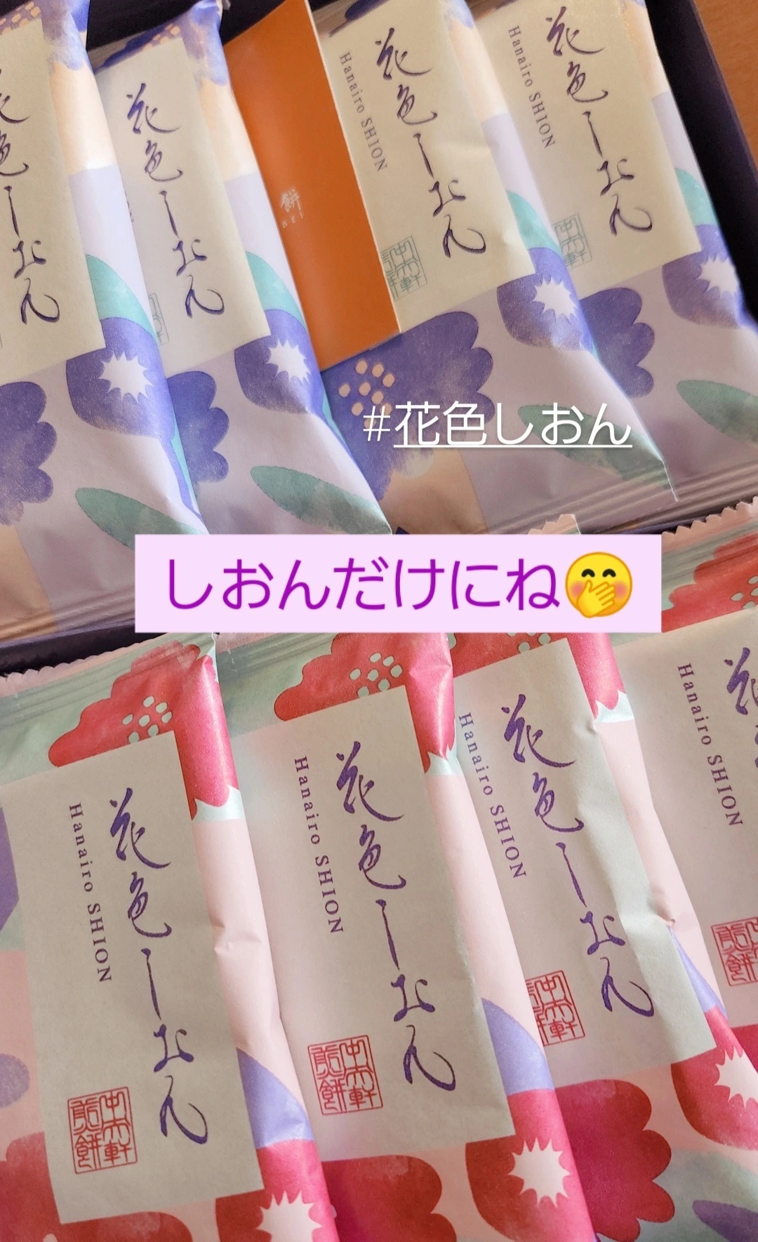 紫音