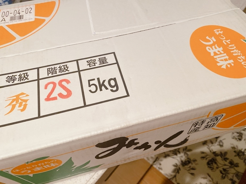 華宮 れい