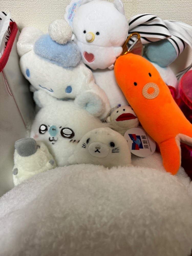 葉山 ゆうり