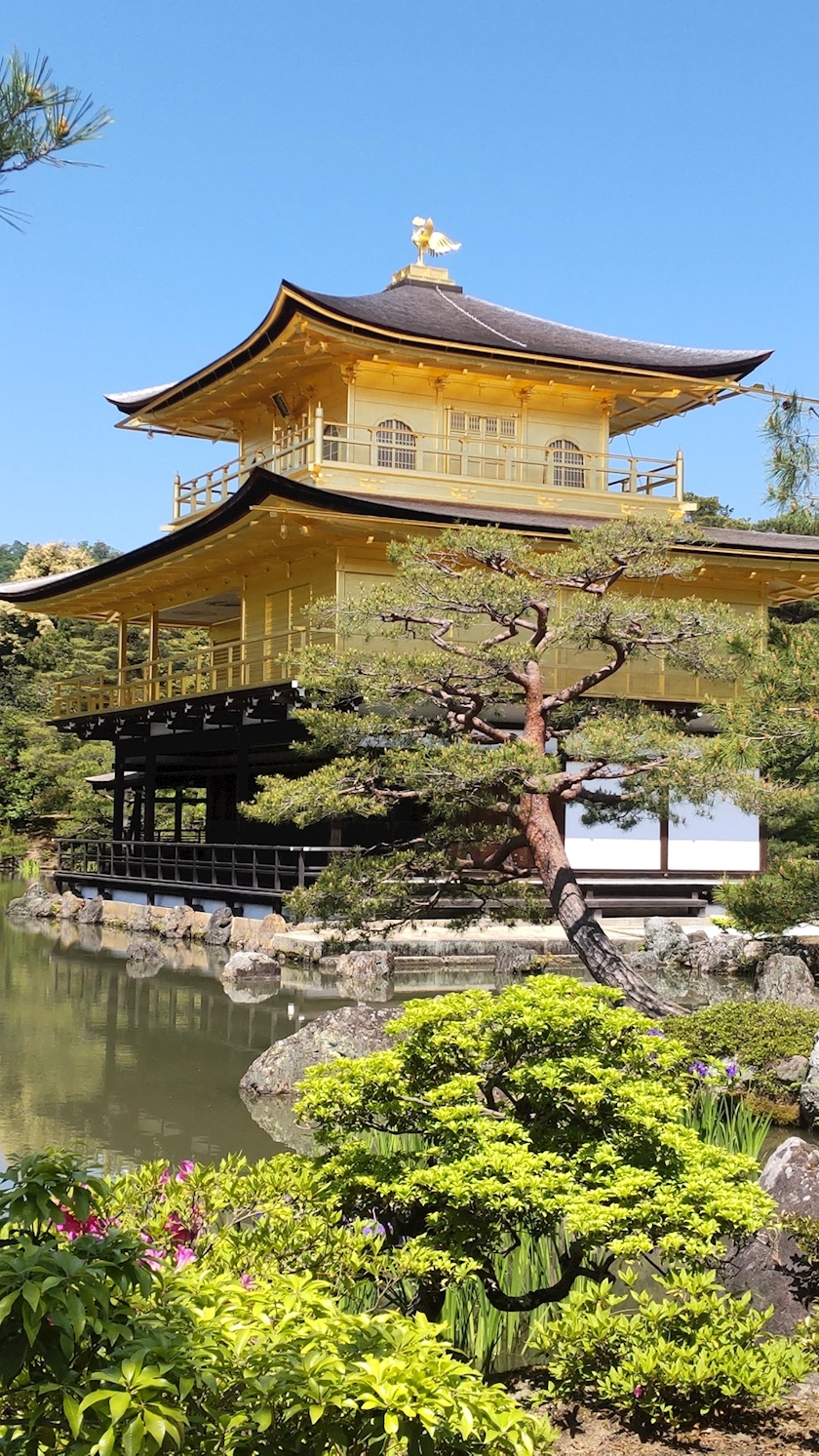 涼宮 しずか