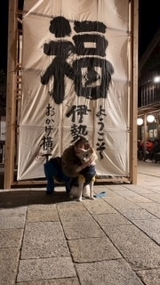 京 さゆみ