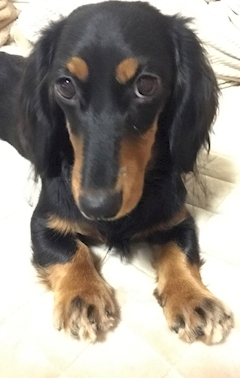 ゆうな