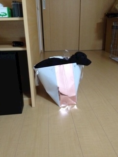 りえ