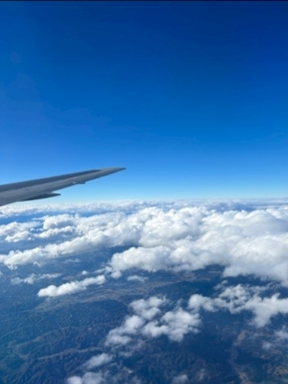 空条 しいな