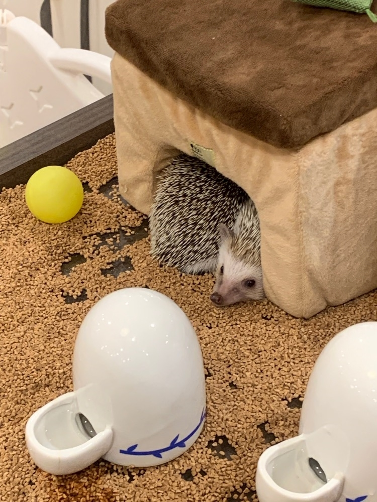 ちひろ