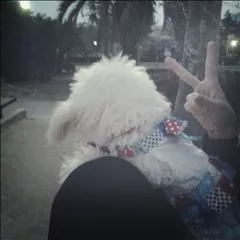 桃瀬 百華