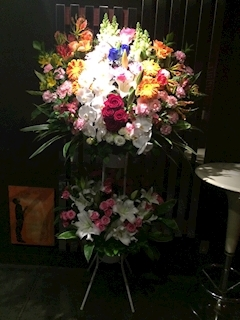 神崎 星奈