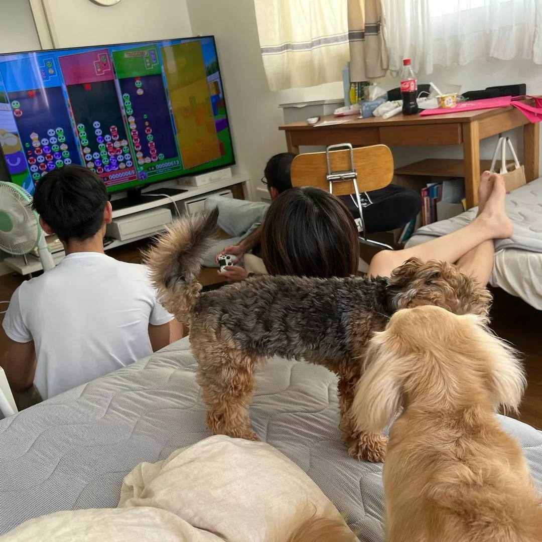 ねね