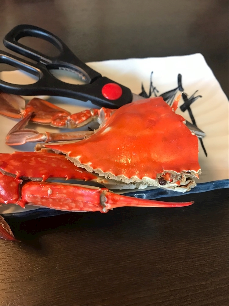 ナオ