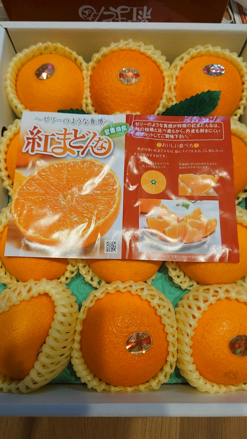 のはら かすみ