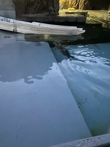 長瀬 純恋
