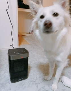 京 さゆみ