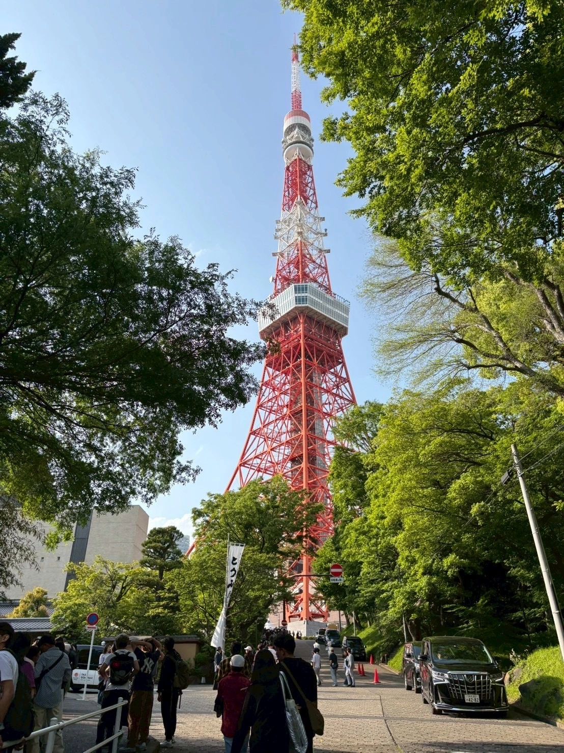 あみ