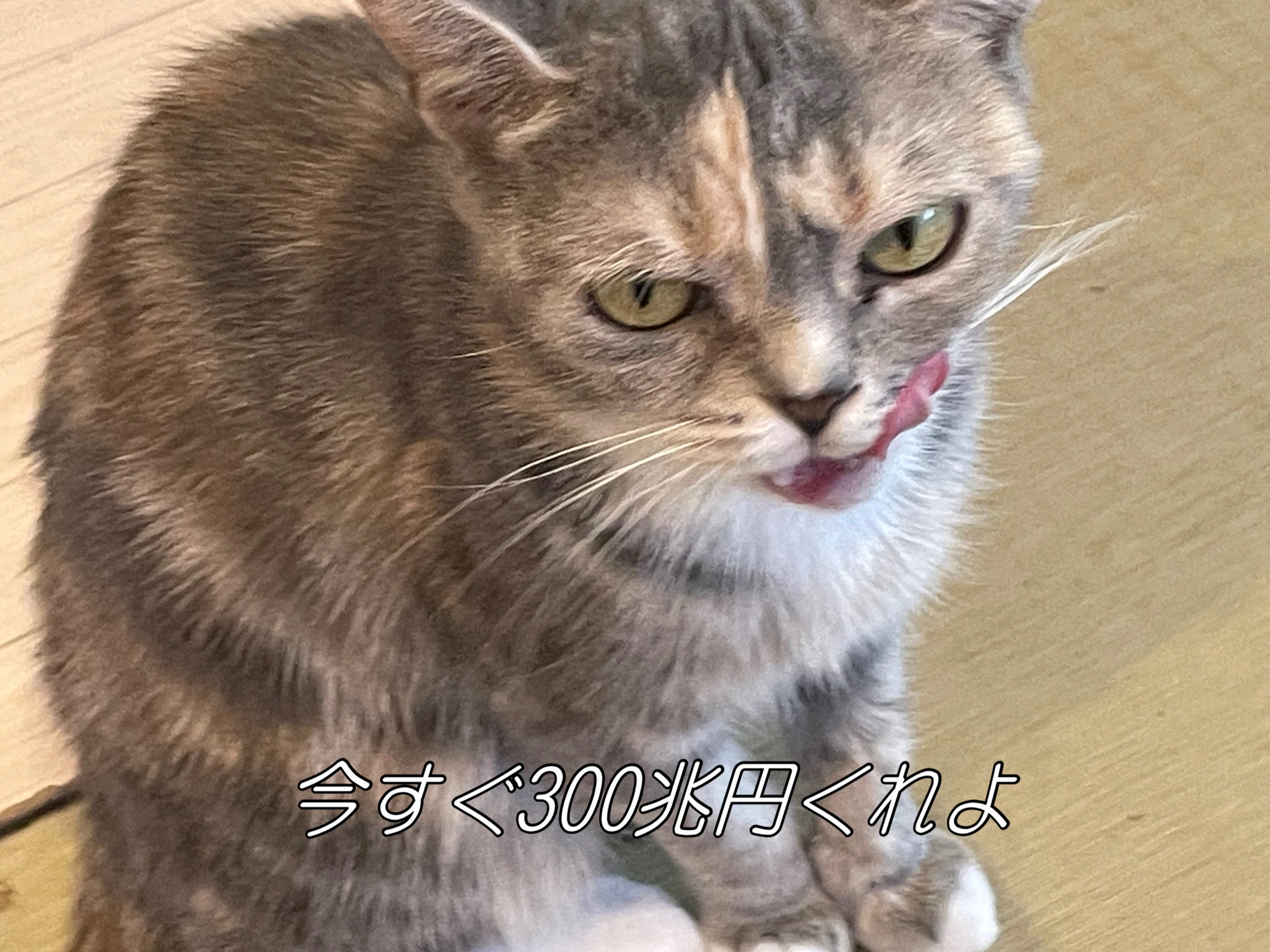 マリア