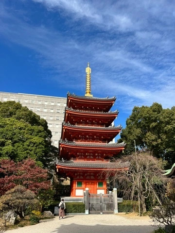 まみ