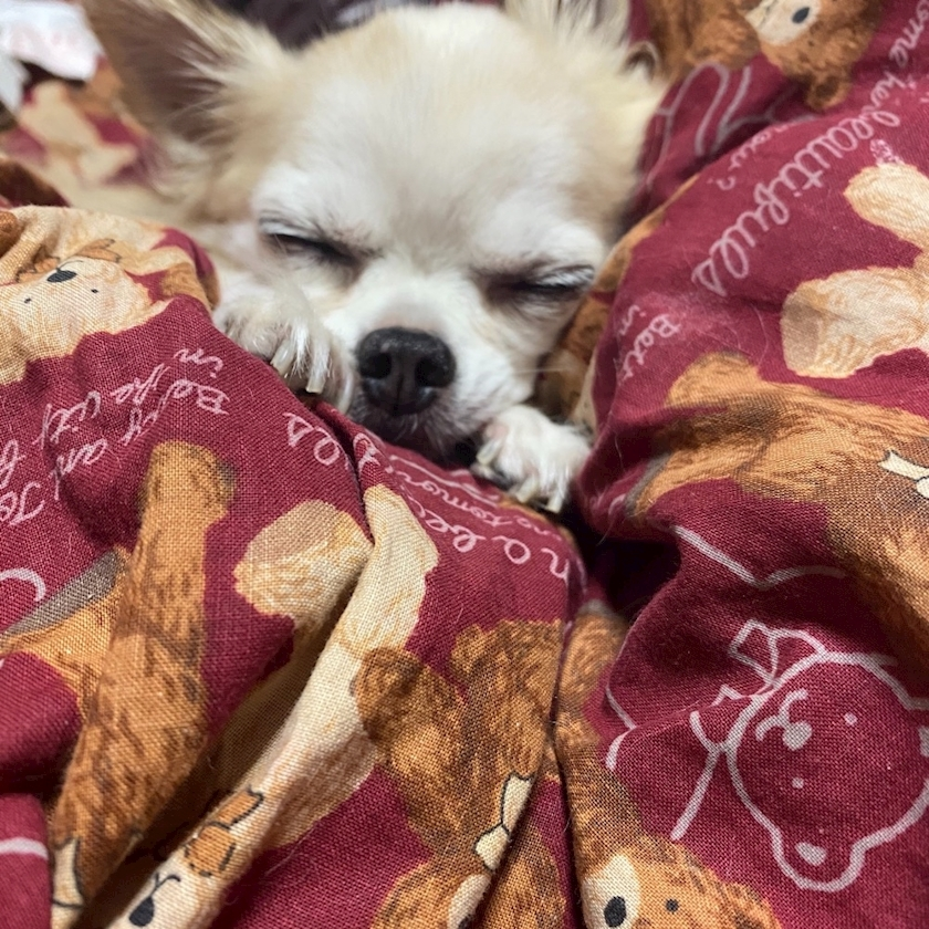 ミユ