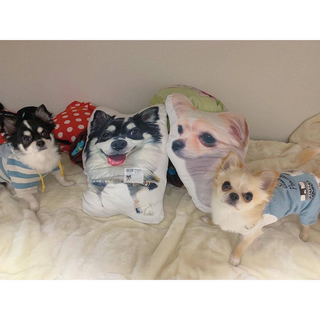 前田 えま
