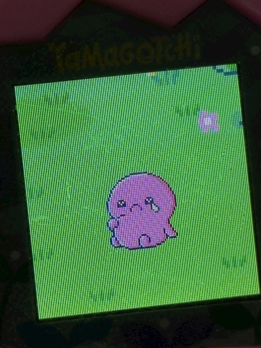 七夕 ゆき