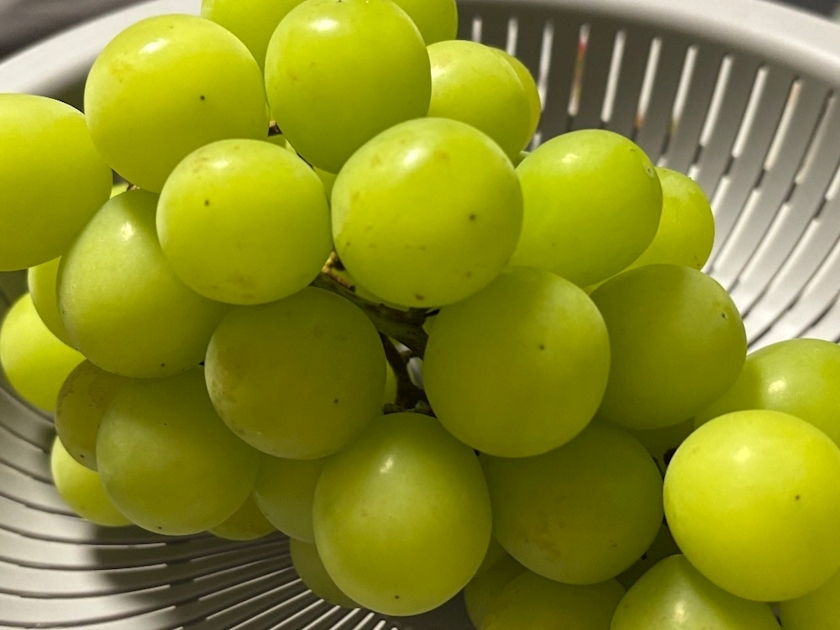 あーだこーだそら