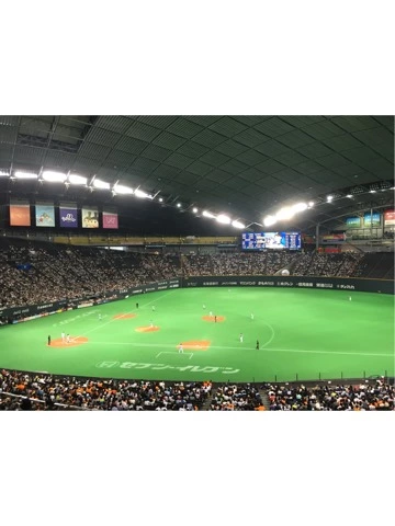 蓮見 リア