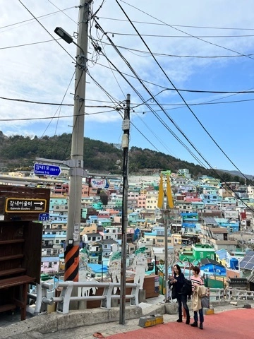 まみ