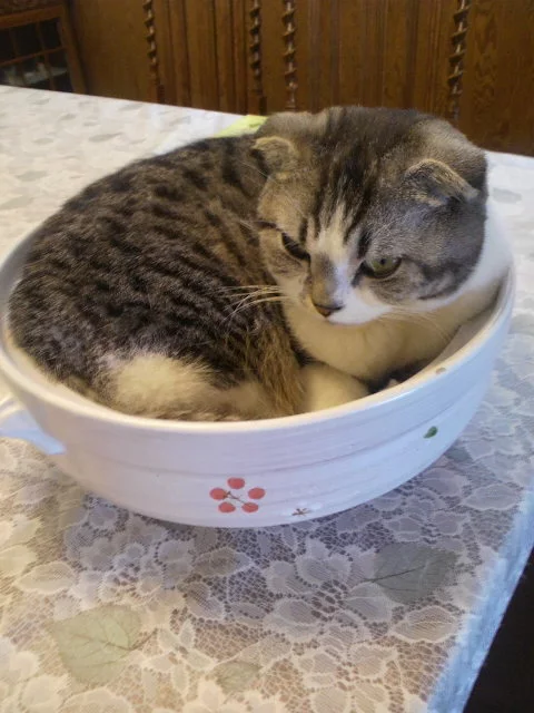 柚木 まや