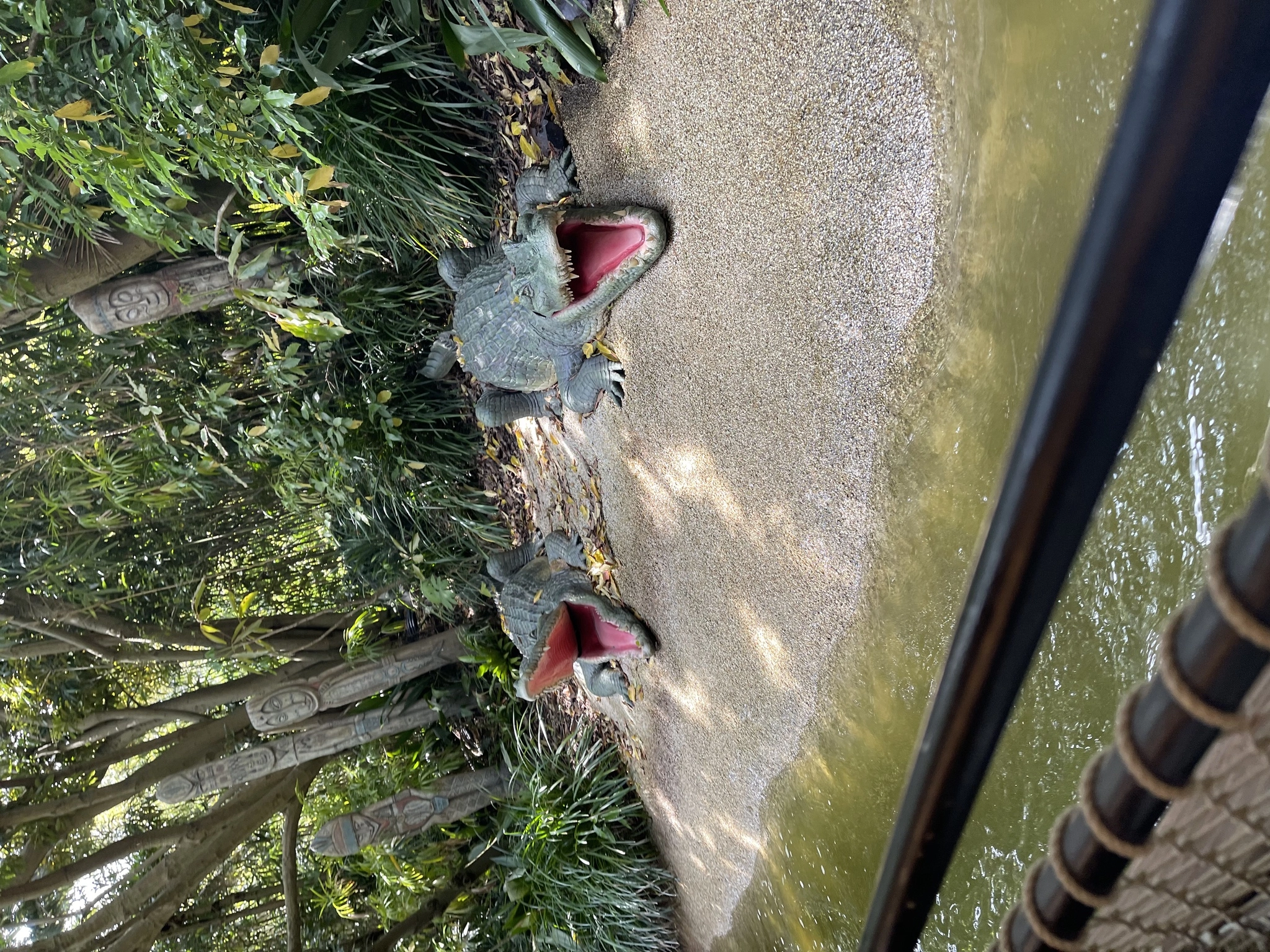 まゆ