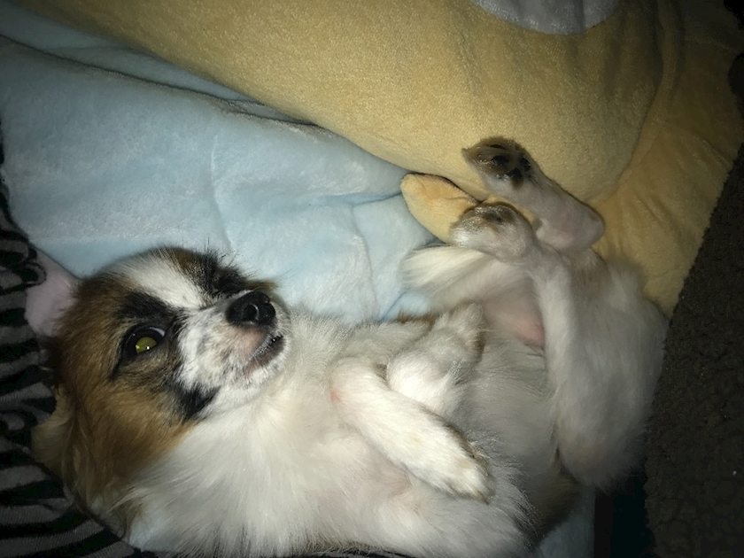 ティナ