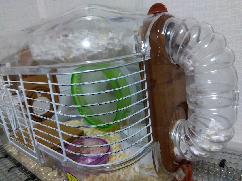 あやか