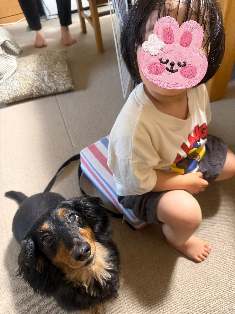 なつき