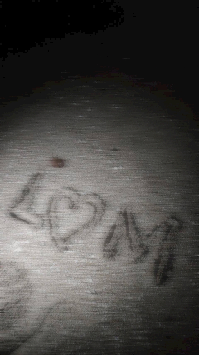 LuLu