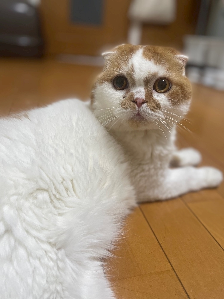 れみ