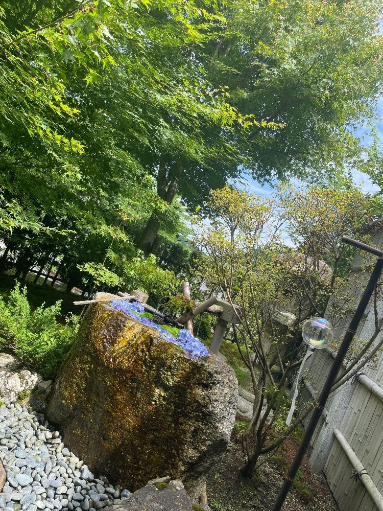 神崎 うらら