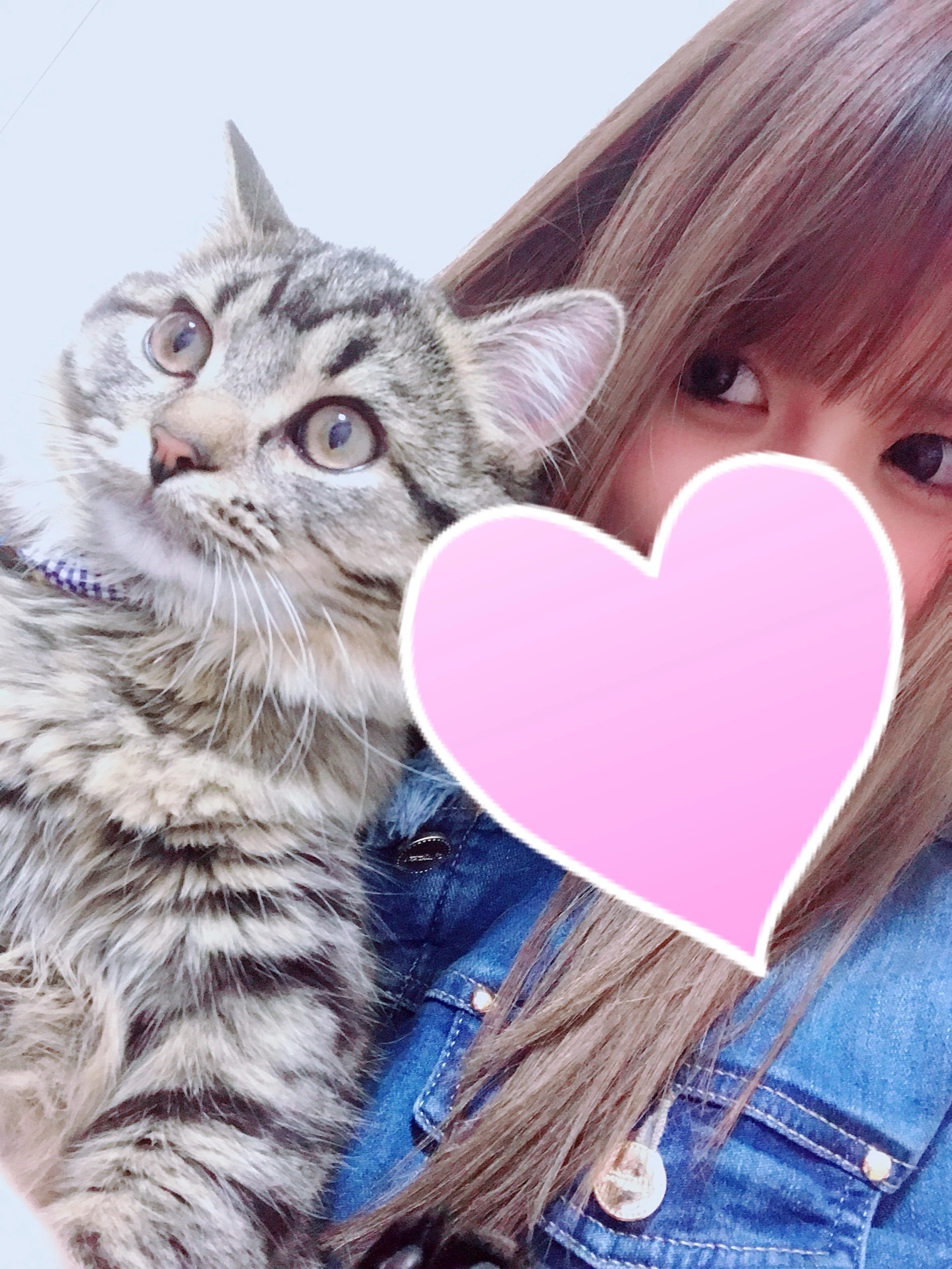 佐藤奈々子