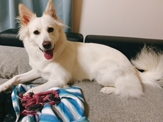 京 さゆみ