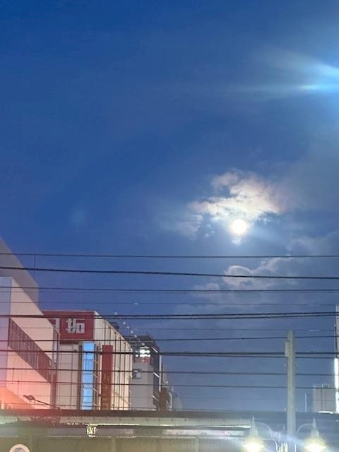 ゆきの