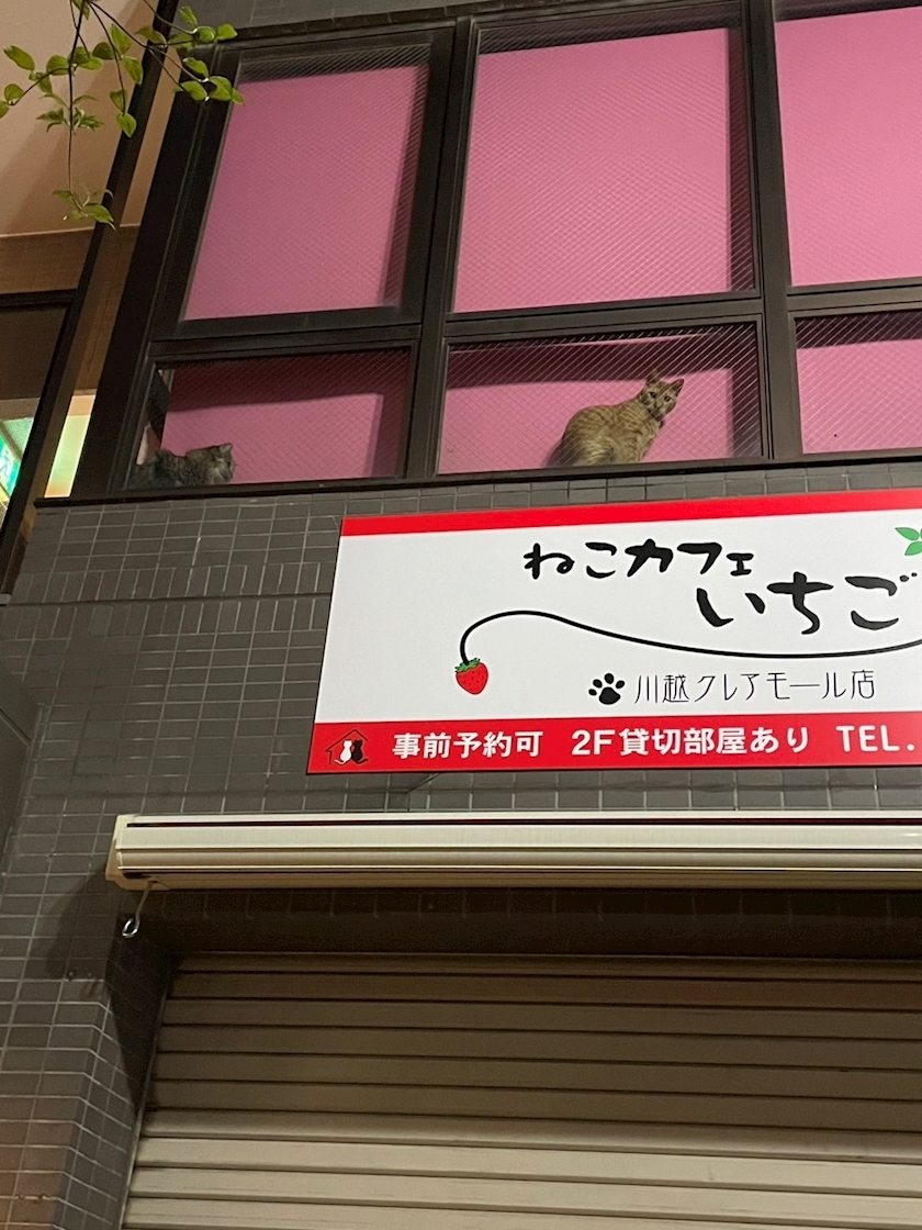 きき