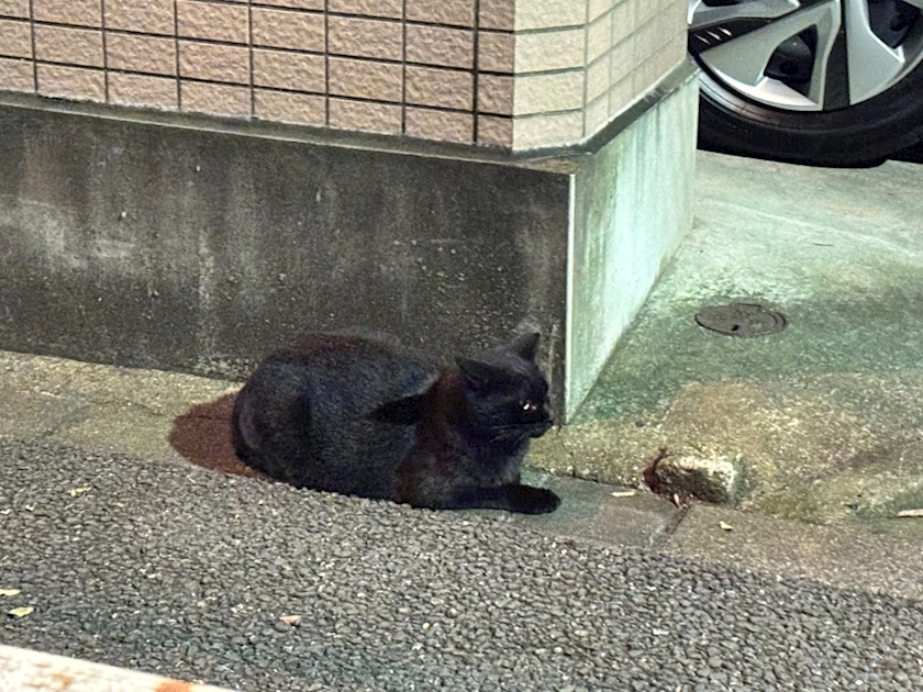 あーだこーだそら