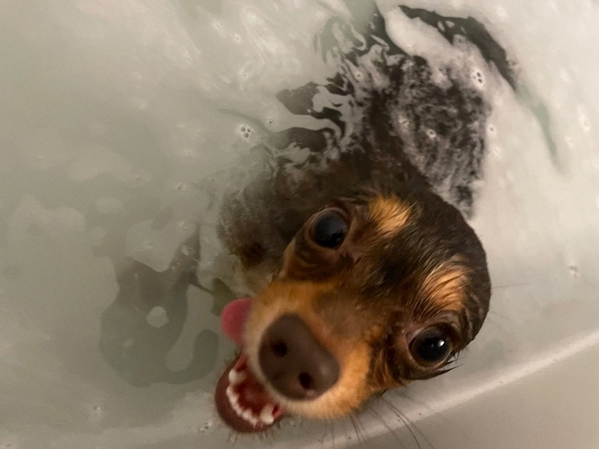 みらい