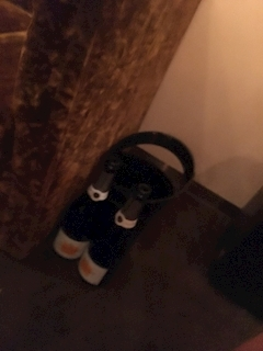 沙良 純