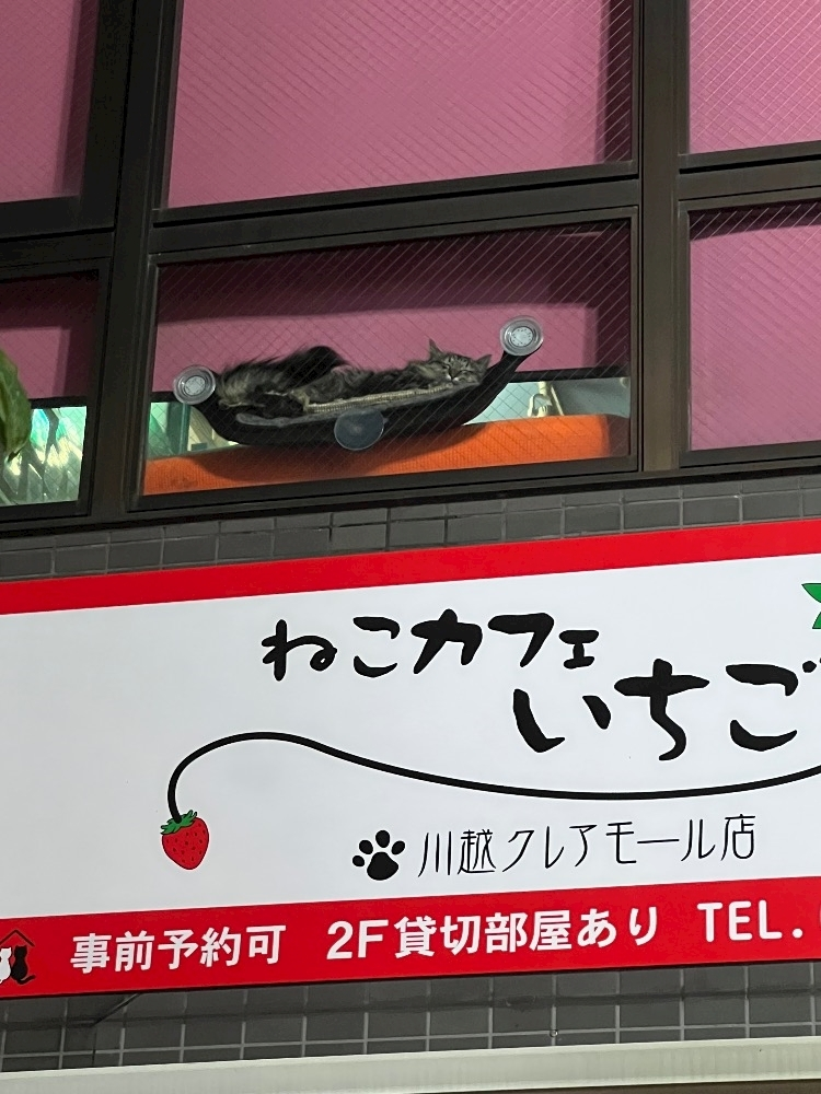 きき