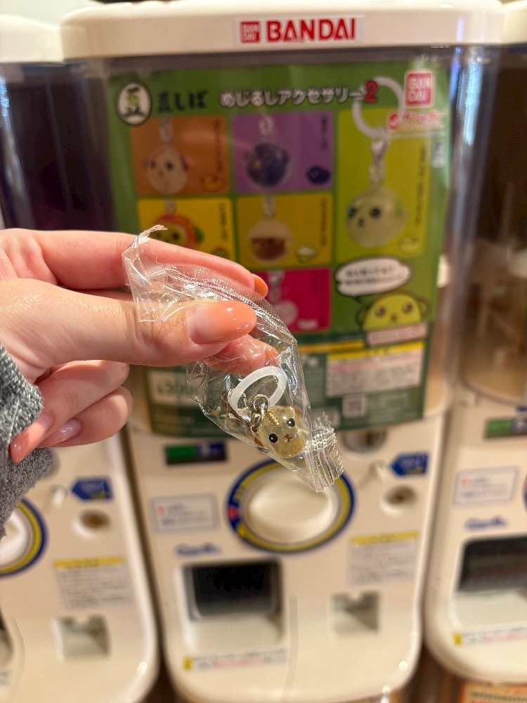 乙川 ゆあ